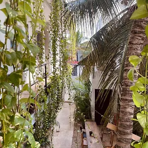 Locanda Anana Coliving, Playa del Carmen